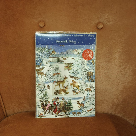 Coppenrath, 3D-joulukalenteri