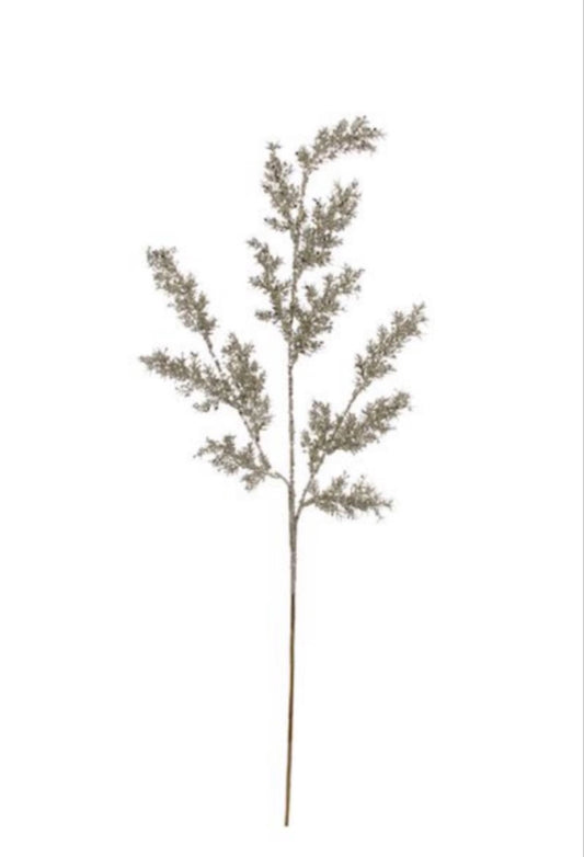 Shishi, kultainen männynoksa 78cm