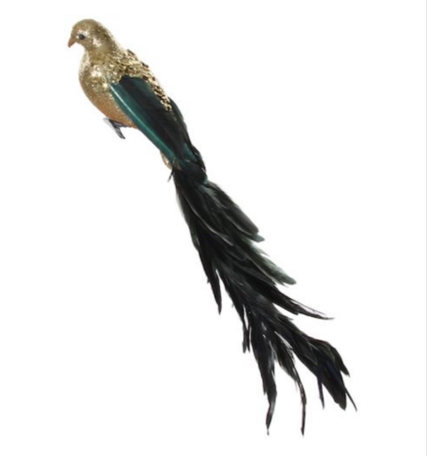 Shishi, kultainen lintu, vihreä pyrstö