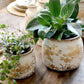Chic Antique, ruukku, pieni